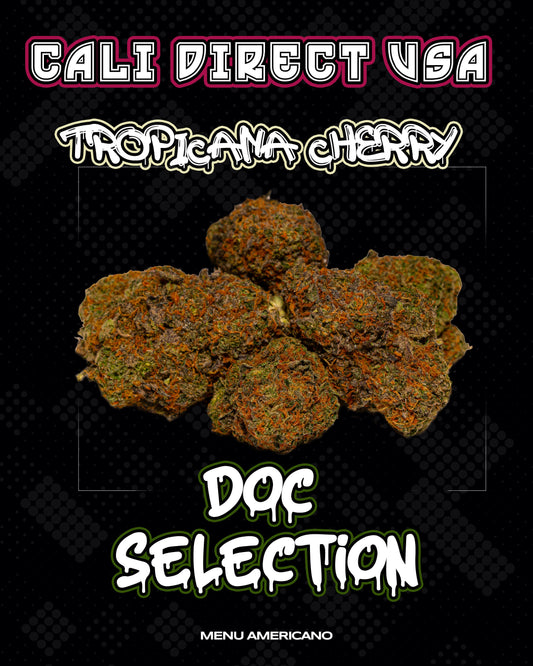 𝙒𝙚𝙚𝙙 𝘾𝙖𝙡𝙞 𝘿𝙞𝙧𝙚𝙘𝙩 𝙐𝙨𝙖 - 𝙏𝙧𝙤𝙥𝙞𝙘𝙖𝙣𝙖 𝘾𝙝𝙚𝙧𝙧𝙮