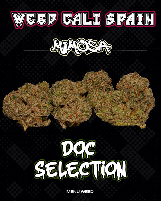 𝙒𝙚𝙚𝙙 𝘾𝙖𝙡𝙞 𝙎𝙥𝙖𝙞𝙣 - 𝙈𝙞𝙢𝙤𝙨𝙖