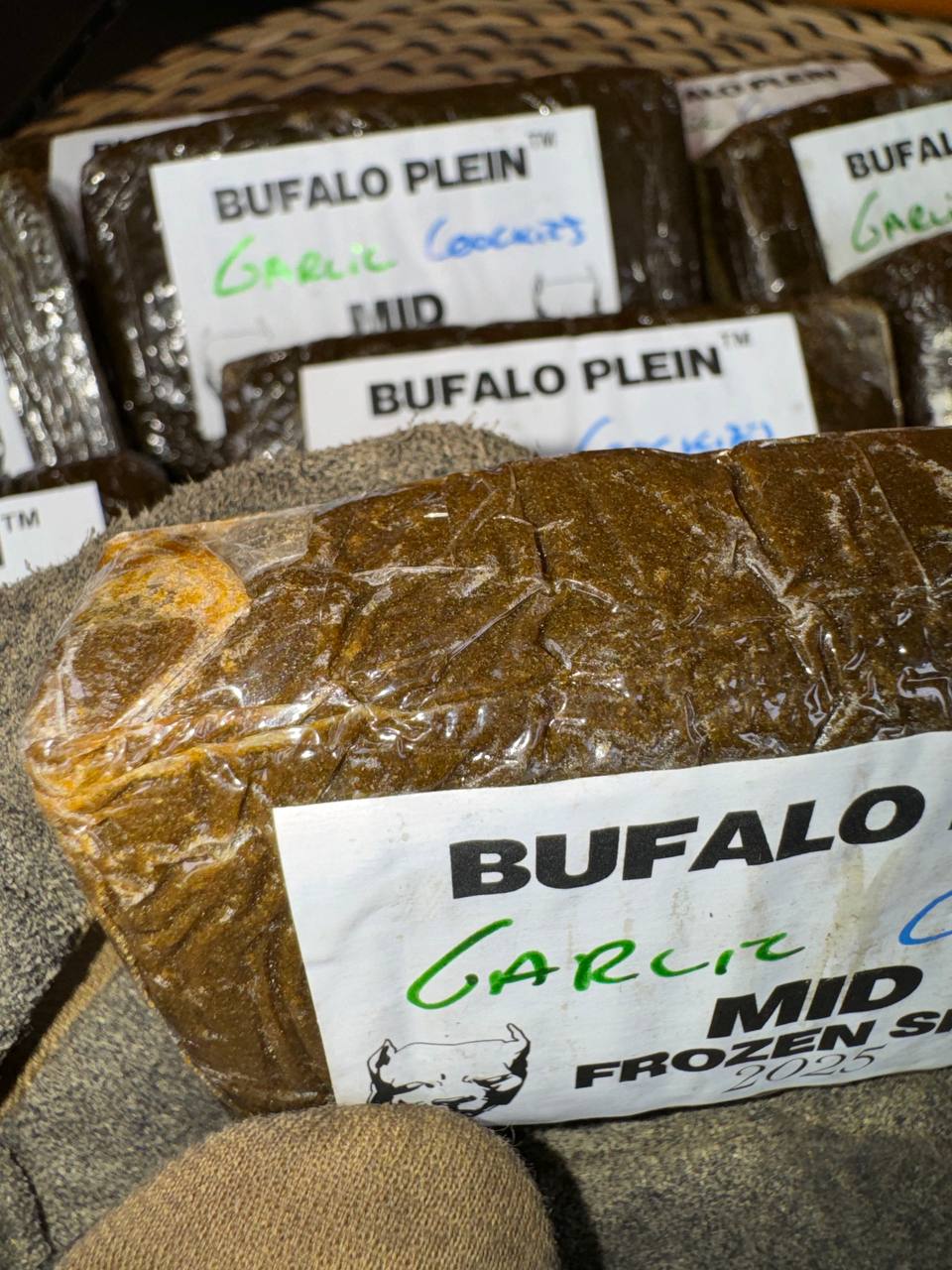 𝘽𝙪𝙛𝙖𝙡𝙤 𝙥𝙡𝙚𝙞𝙣 𝙁𝙧𝙤𝙯𝙚𝙣 𝙈𝙞𝙙 - 𝙂𝙖𝙧𝙡𝙞𝙘 𝘾𝙤𝙤𝙘𝙠𝙞𝙚