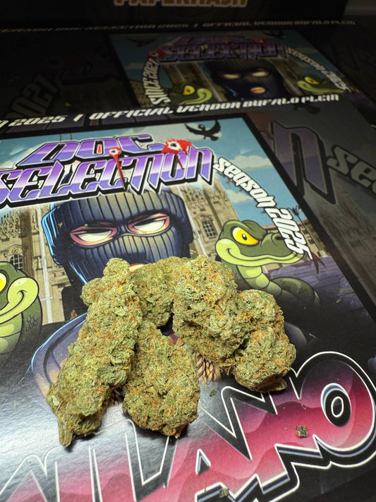 Top Shelf spain - Amnesia Berry